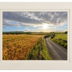 Summer's Light - Inishowen - Ireland