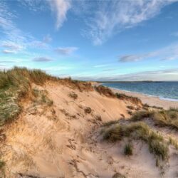 Port Arthur Beach Dunes