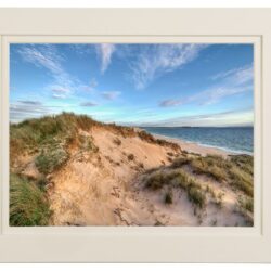 Port Arthur Beach Dunes