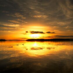 Lough Erne Sunset Birds