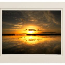 Lough Erne Sunset Birds