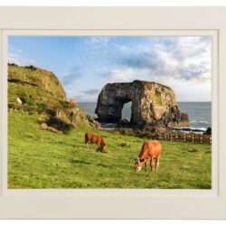 Pollet-Cows-Arch_MOUNT The Great Pollet Sea Arch