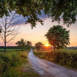 ‘Summer's Eve Farewell’