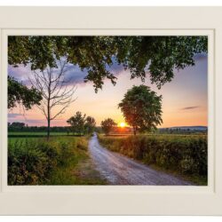 ‘Summer's Eve Farewell’