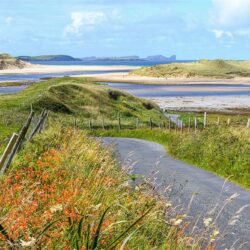 ‘Summer Bloom on Ballyness Bay’
