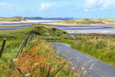 ‘Summer Bloom on Ballyness Bay’