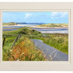 ‘Summer Bloom on Ballyness Bay’