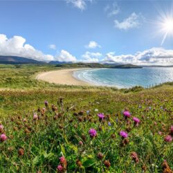 Tramore-Wildflowers_FULL ‘Wildflower Dunes of Tramore’