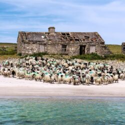 Inishkea-24_FULL Inishkea Island - County Mayo