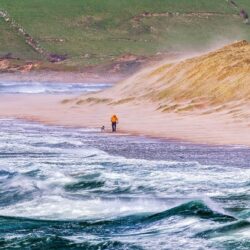 ‘Strolling amidst the Storm’