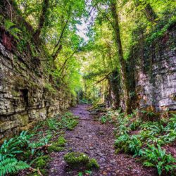 "The Secret Fairy Glen"