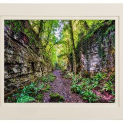 "The Secret Fairy Glen"