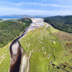 Ards Salt Marsh