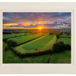 “Last of Summer Harvest”