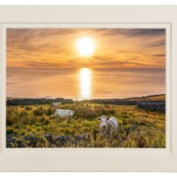 “The Watchers of Gweedore”