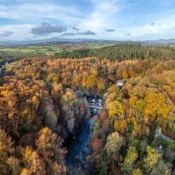 ‘The Salmon Leap of Ramelton’