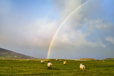 Chasing-Rainbows_FULL âChasing Rainbowsâ