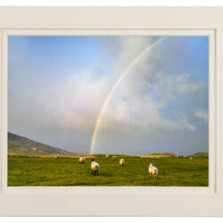 “Chasing Rainbows”