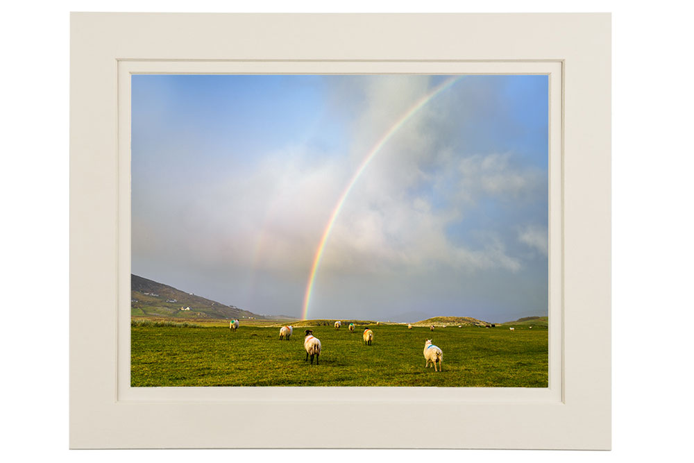 “Chasing Rainbows”