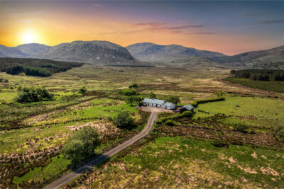 'Bluestacks Farm'