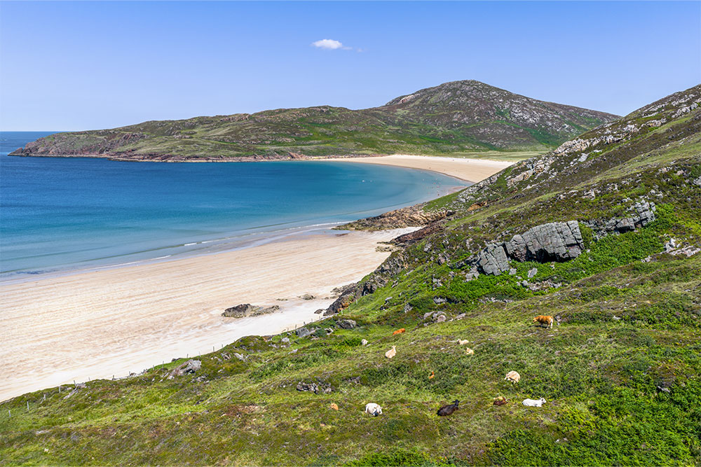 "Grazing the Atlantic Shore”