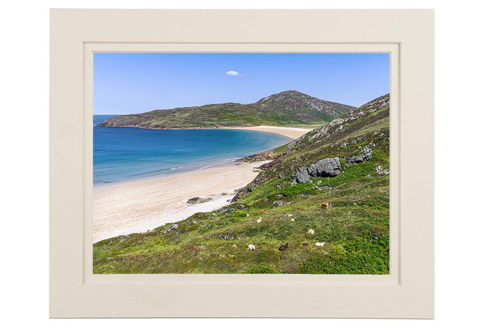 "Grazing the Atlantic Shore”