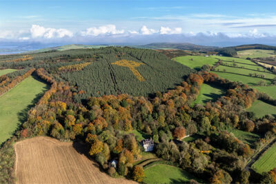 ‘Autumnal Bloom on the Emery Cross'