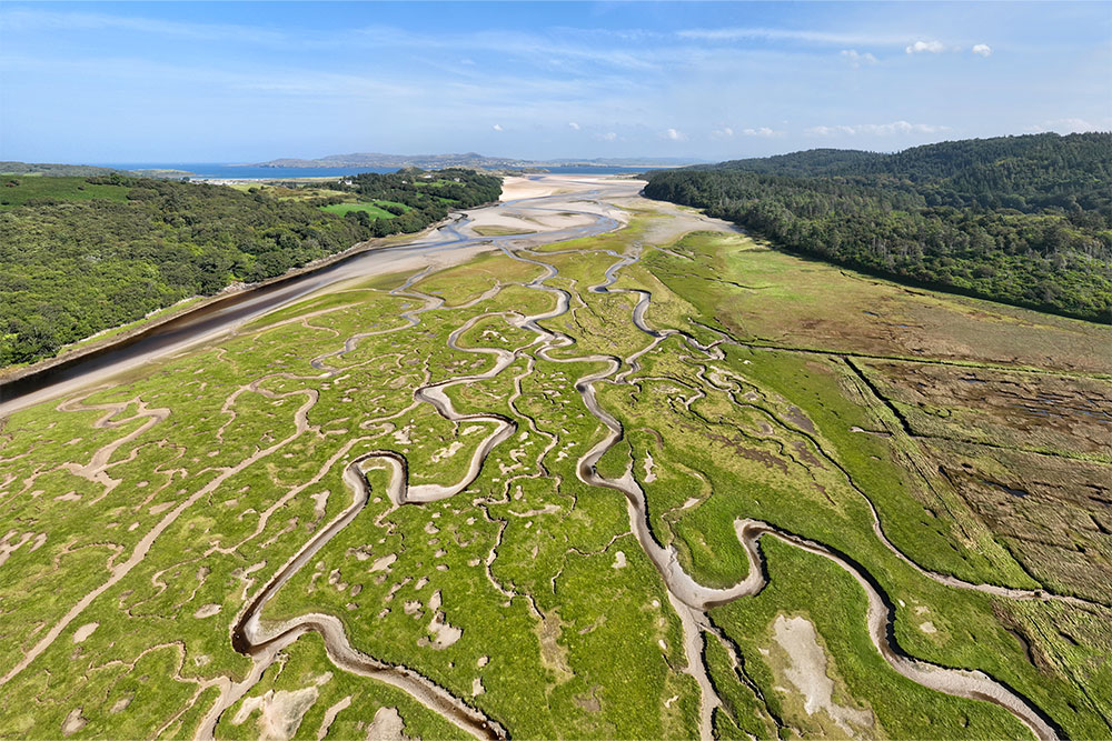 “The Trails of Ireland's Banished Snakes”