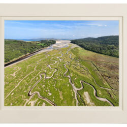 “The Trails of Ireland's Banished Snakes”
