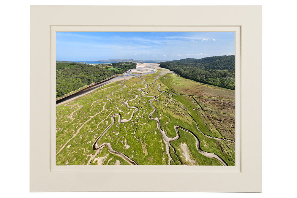 “The Trails of Ireland's Banished Snakes”